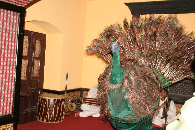 India & Nepal 2011 - 0341